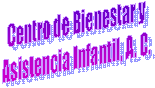 Centro de Bienestar y
Asistencia Infantil, A. C.